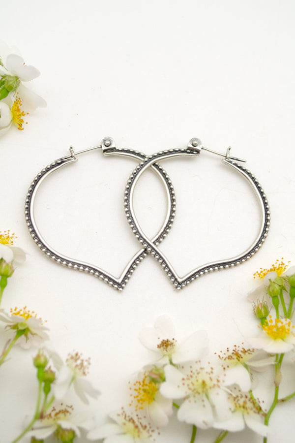 aspen hoops